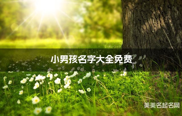 小男孩名字大全免费 有内涵的名字