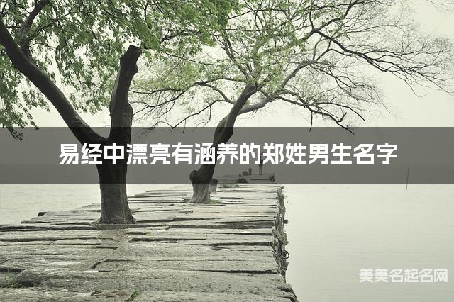 易经中漂亮有涵养的郑姓男生名字