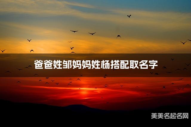 爸爸姓邹妈妈姓杨搭配取名字