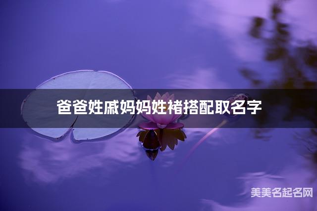 爸爸姓戚妈妈姓褚搭配取名字
