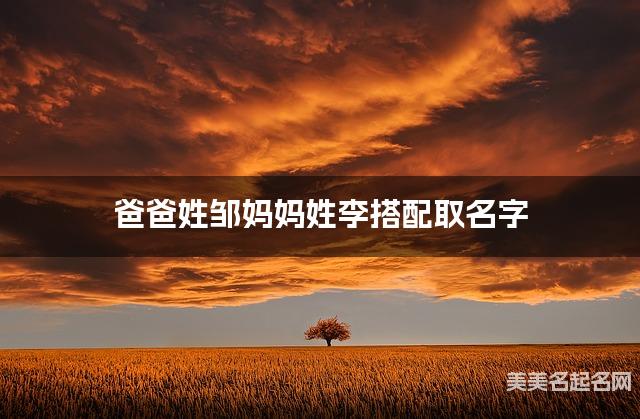 父母邹姓和李姓男宝宝取名搭配推荐（简单好记）