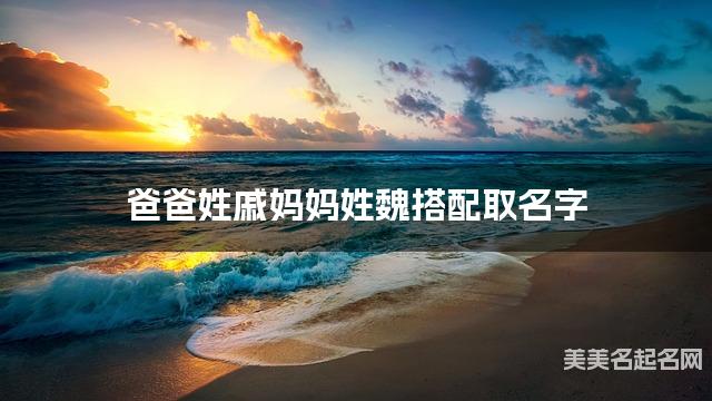 爸爸姓戚妈妈姓魏搭配取名字
