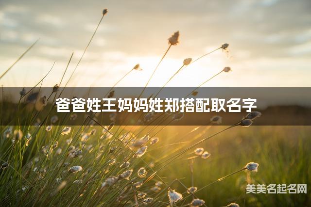 王姓和郑姓搭配取名好听的男宝宝名字有哪些