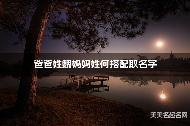 爸爸姓魏妈妈姓何搭配取名字