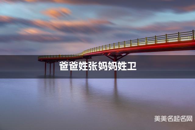 爸爸姓张妈妈姓卫，如何结合两个姓氏取小男孩名字