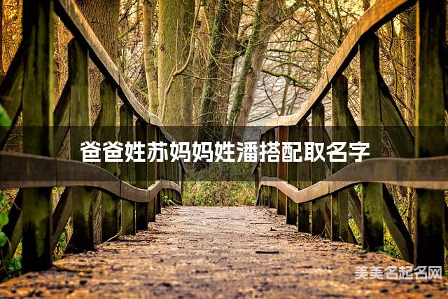 爸爸姓苏妈妈姓潘搭配取名字