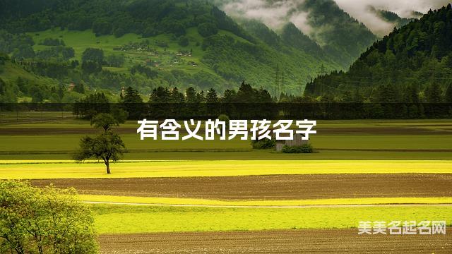 有含义的男孩名字，爸爸姓俞妈妈姓葛搭配取名