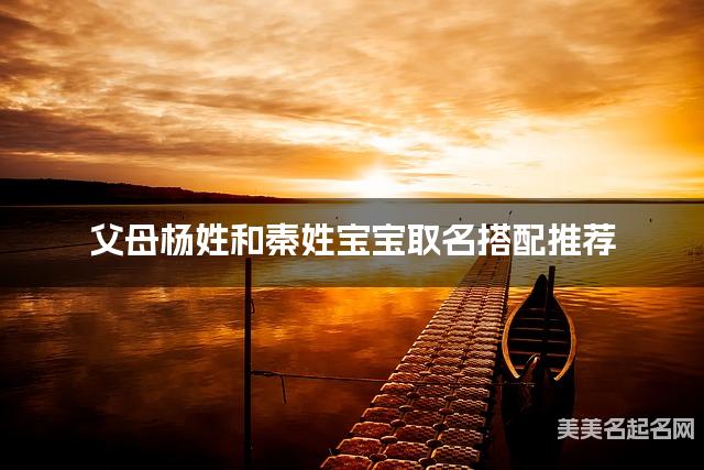 父母杨姓和秦姓宝宝取名搭配推荐（古风意境唯美）