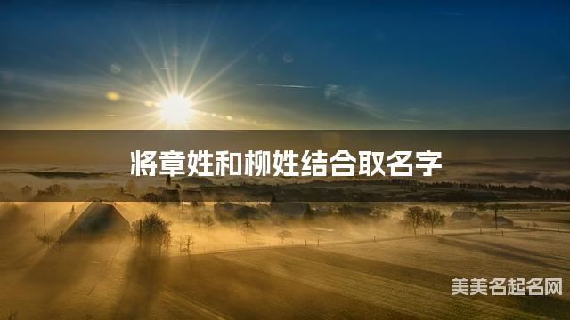 将章姓和柳姓结合取名字，好听有灵气的小女孩名字推荐