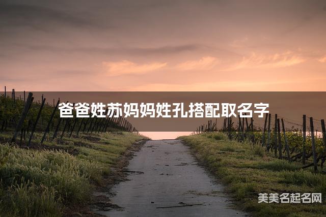 爸爸姓苏妈妈姓孔搭配取名字
