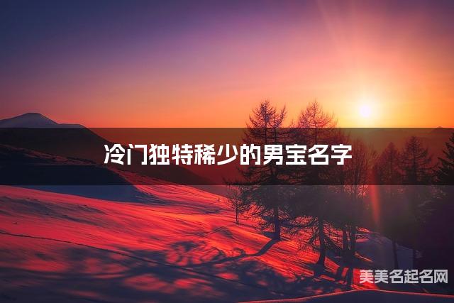 冷门独特稀少的男宝名字（451个最新）