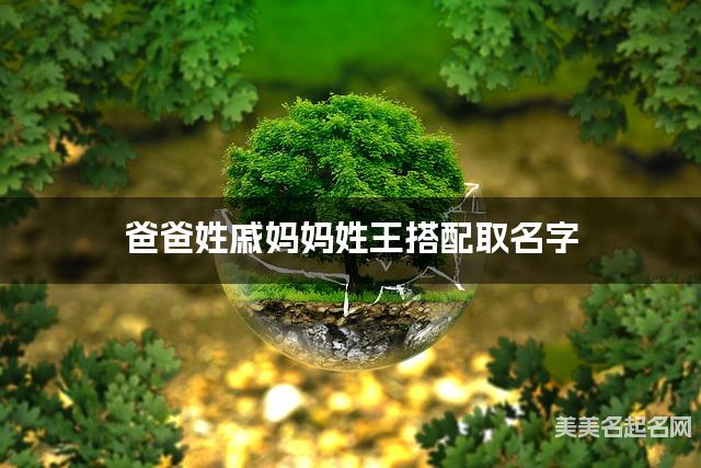爸爸姓戚妈妈姓王搭配取名字