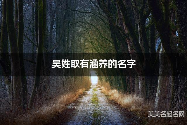 吴姓取有涵养的名字,吴姓小女孩高端名字 吴姓取有涵养的名字,吴姓小女孩高端名字