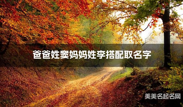 窦李姓氏搭配取名，有气质的男孩名字案例