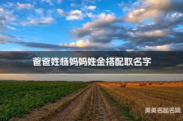 爸爸姓杨妈妈姓金搭配取名字