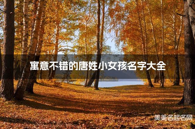 寓意不错的唐姓小女孩名字大全