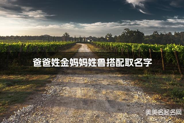爸爸姓金妈妈姓鲁搭配取名字
