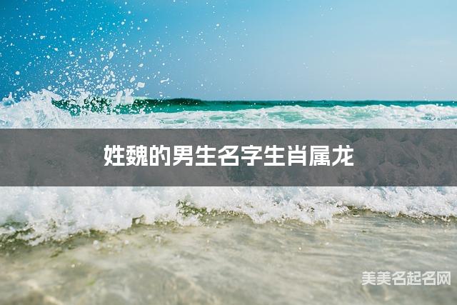 姓魏的男生名字生肖属龙 有创意的宝宝名字大全