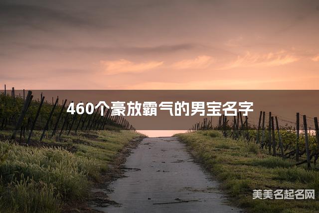 460个豪放霸气的男宝名字