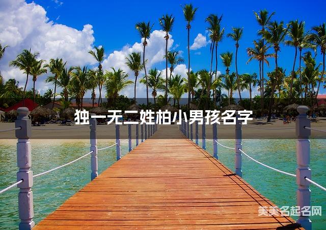 取名字在线大师取名 独一无二姓柏小男孩名字