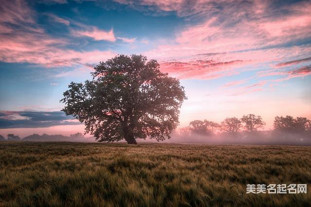 韩姓谐音好听的小女孩名字443个