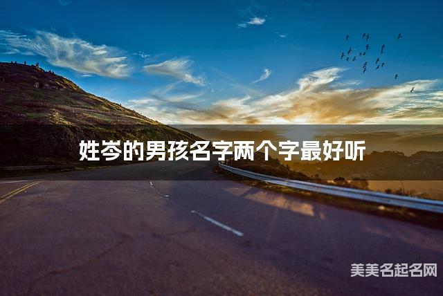 姓岑的男孩名字两个字最好听