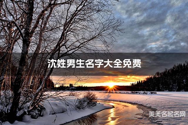 沈姓男生名字大全免费 干净好听的名字