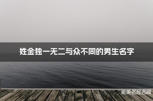 姓金独一无二与众不同的男生名字