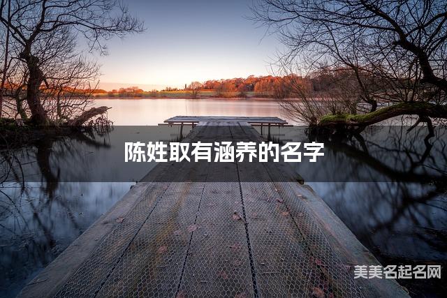 陈姓取有涵养的名字，陈姓男生高端名字