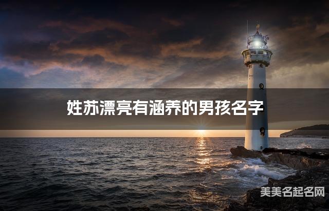 姓苏漂亮有涵养的男孩名字