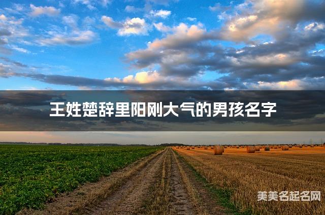 取名字大全免费查询 王姓楚辞里阳刚大气的男孩名字