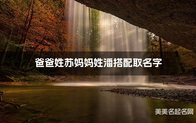 有灵气的女宝宝名字，爸爸姓苏妈妈姓潘搭配取名