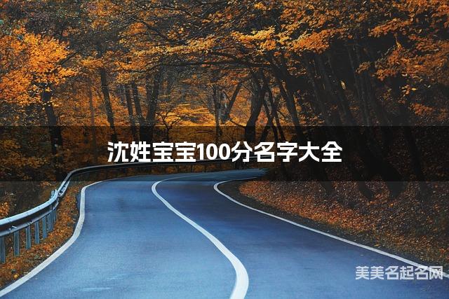 沈姓宝宝100分名字大全