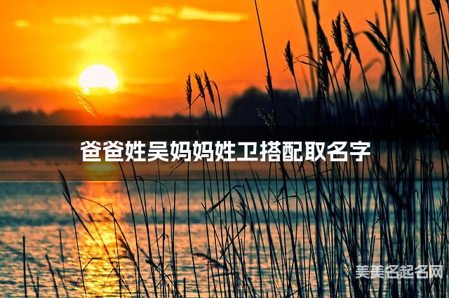 爸爸姓吴妈妈姓卫，如何结合两个姓氏取男宝名字