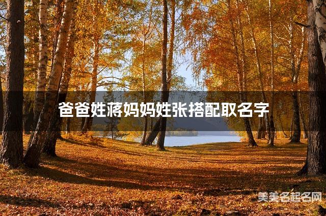 爸爸姓蒋妈妈姓张搭配取名字