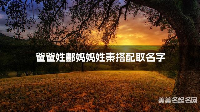 将酆姓和秦姓结合取名字，好听有寓意的男生名字推荐