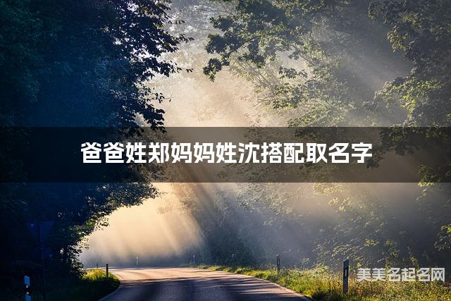 爸爸姓郑妈妈姓沈搭配取名字