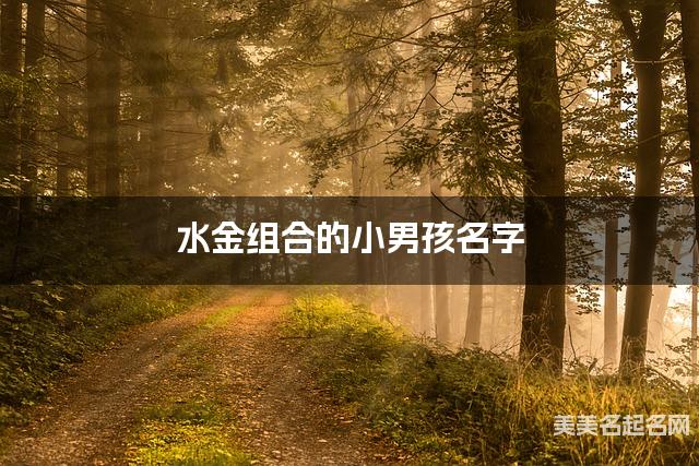 水金组合的小男孩名字 小男孩简单干净好听的名字