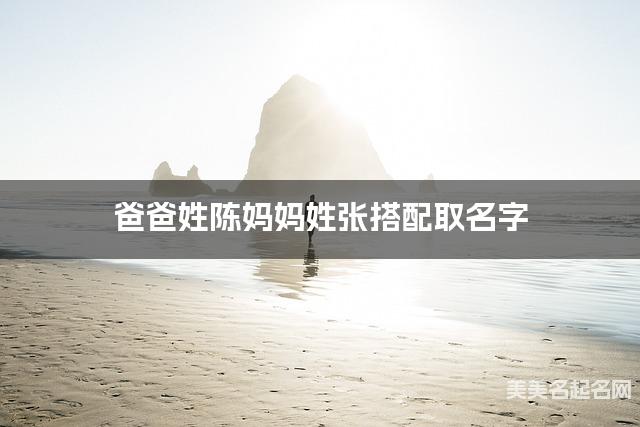 陈张姓氏搭配取名，有寓意的小男孩名字案例