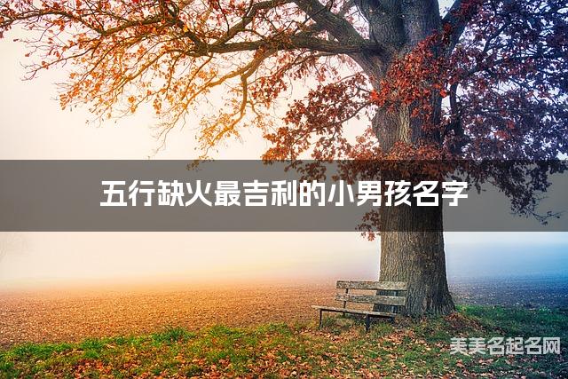 五行缺火最吉利的小男孩名字 有涵养的宝宝名字大全