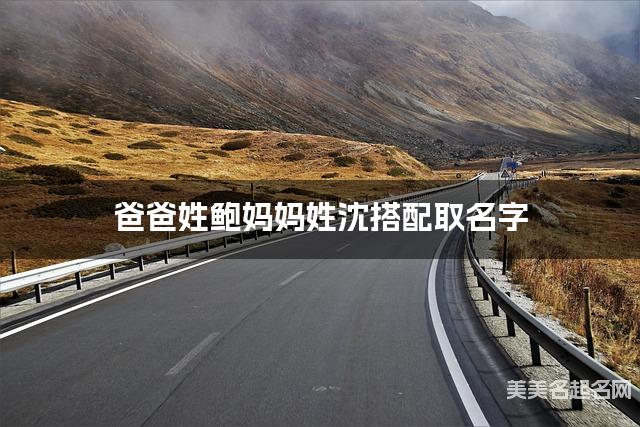 父母鲍姓和沈姓男宝宝取名搭配推荐（风度翩翩）