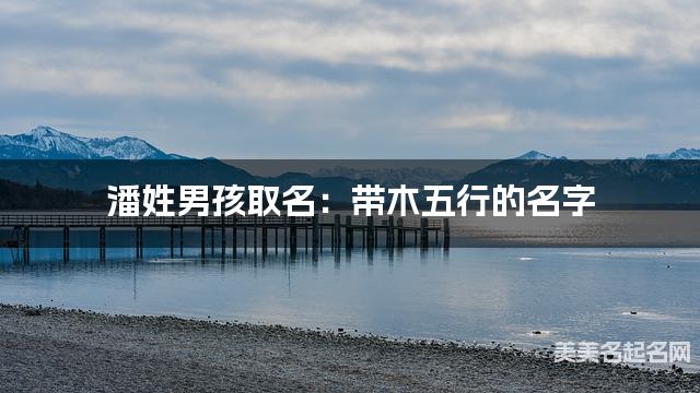 潘姓男孩取名：带木五行的名字（有寓意）