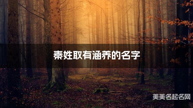 秦姓取有涵养的名字，秦姓小男孩高端名字