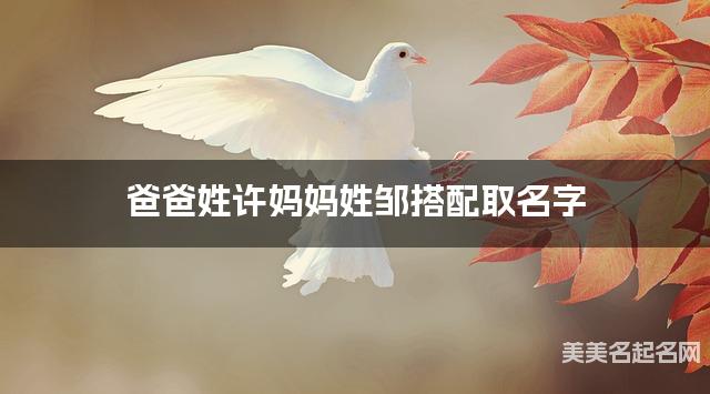 把许姓和邹姓结合取女孩名字方案参考