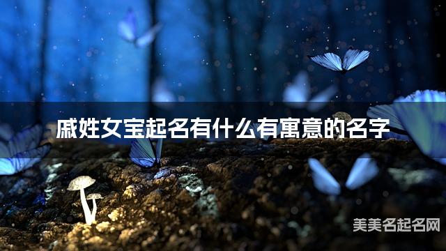 戚姓女宝起名有什么有寓意的名字