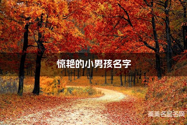 惊艳的小男孩名字（122个最新）