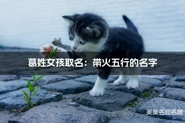 葛姓女孩取名：带火五行的名字（有诗意）