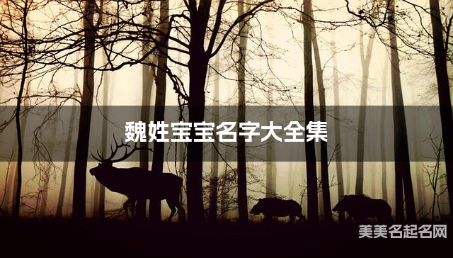 魏姓宝宝名字大全集（简单顺口300个）