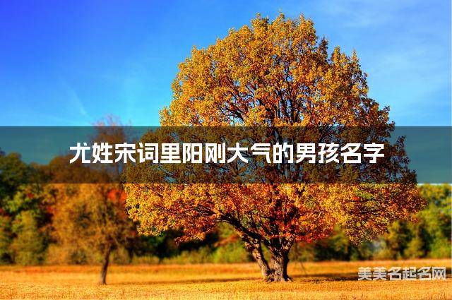 取名字大全免费查询 尤姓宋词里阳刚大气的男孩名字