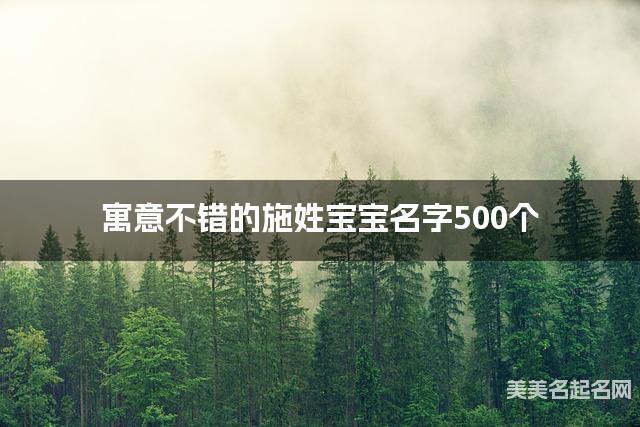 寓意不错的施姓宝宝名字500个